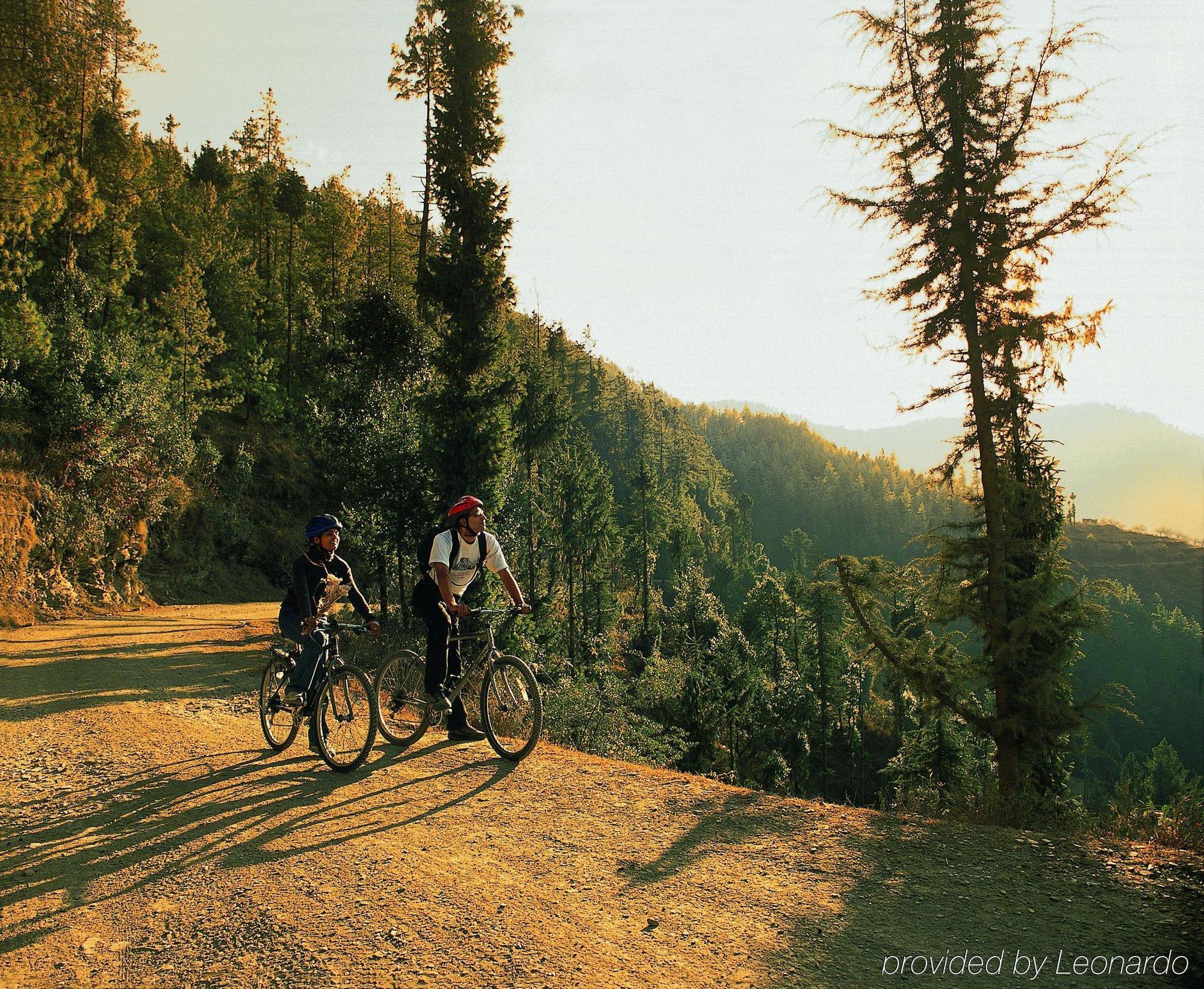 Wildflower Hall, An Oberoi Resort, Shimla Faciliteiten foto